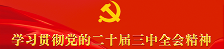 学习二十届三中